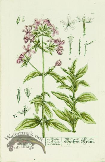 Blackwell German 161